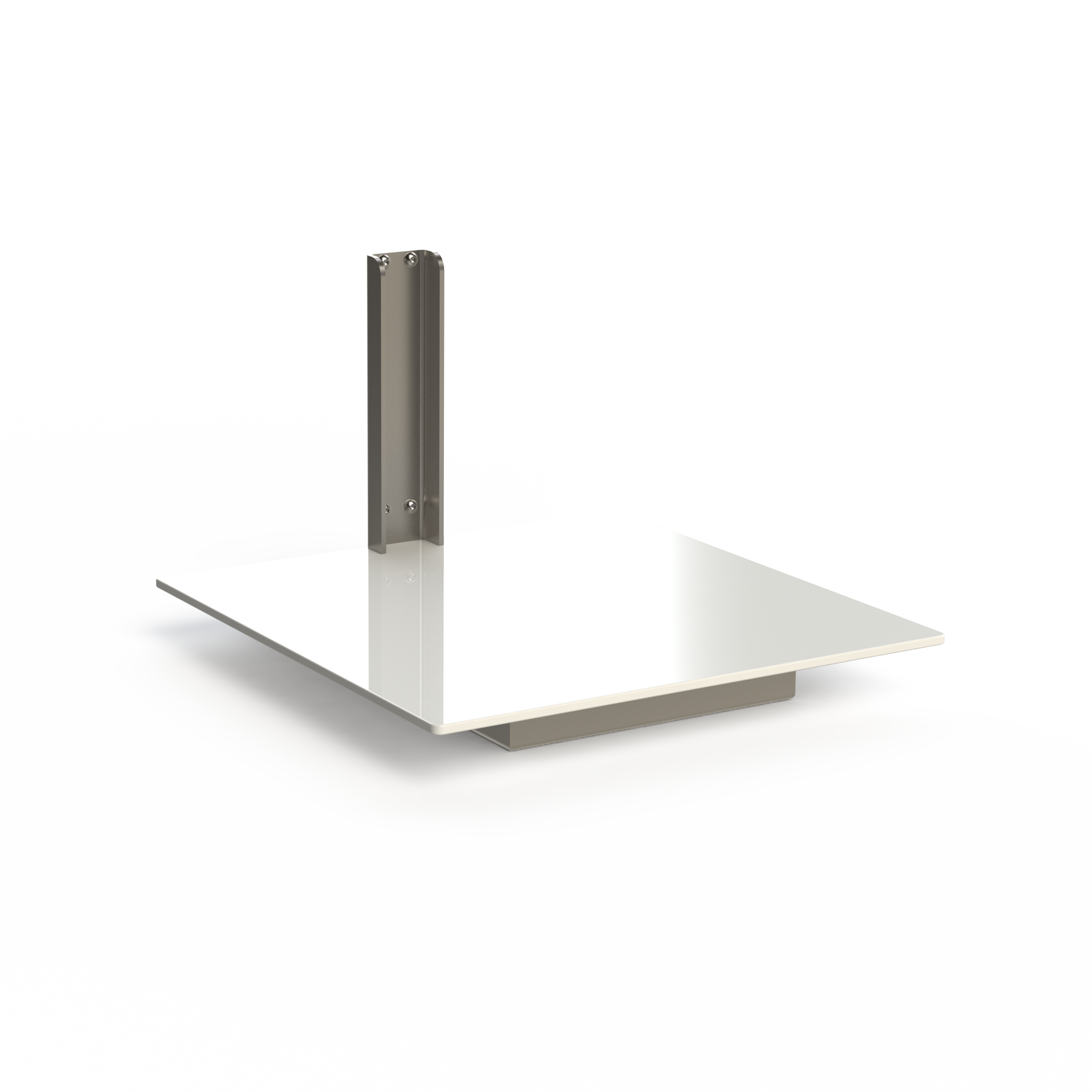 Plastic Platform (PP)