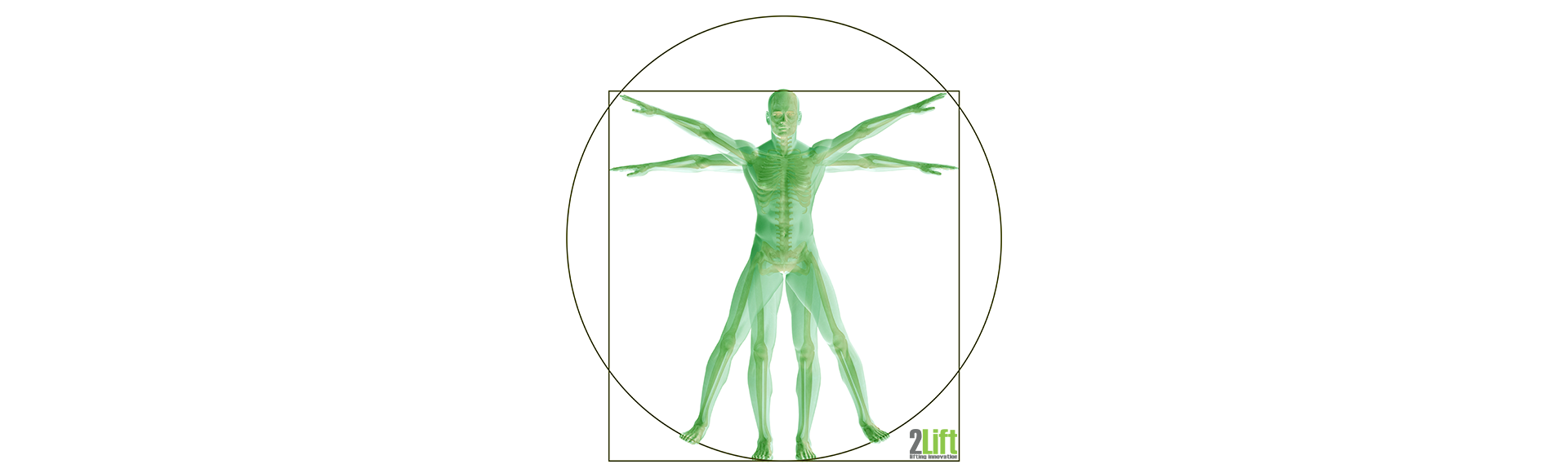 Ergonomics for manual handling. Image of the Vetruvian man in green colours.